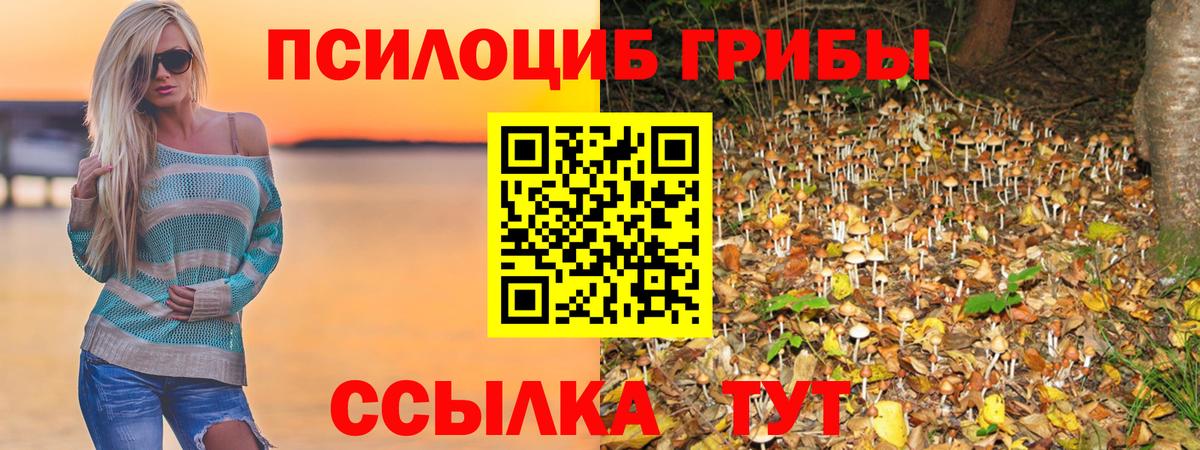 Галлюциногенные грибы GOLDEN TEACHER  купить наркотик  Вход с VPN  Кириши  Псилоцибиновые грибы Cubensis 